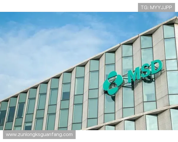 尊龙z6集团:企业品牌建设与市场影响力提升的有效途径 尊龙z6集团:企业品牌建设与市场影响力提升的有效途径