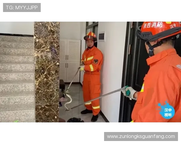 尊龙d88会员登录安全保障措施详解保障玩家账号信息安全与隐私保护