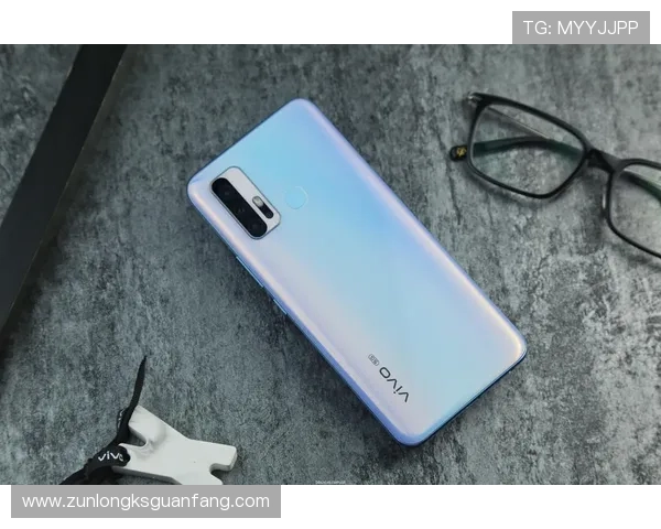 尊龙凯时z6安全登录入口的安全措施详解,保障玩家账号信息不被泄露的实用建议 尊龙凯时z6安全登录入口的安全措施详解,保障玩家账号信息不被泄露的实用建议